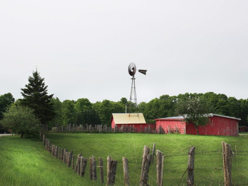Lakefield Township Farm with barbed wire enclosed field and red buildings